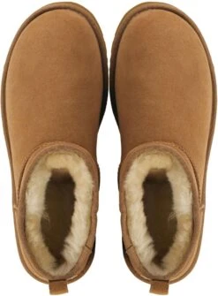 UGG Enkellaarzen Heren / Boots / Laarzen / Herenschoenen - Wol - 1137391 - Cognac - Maat 43 -Gabor Verkoop 2024 886x1200